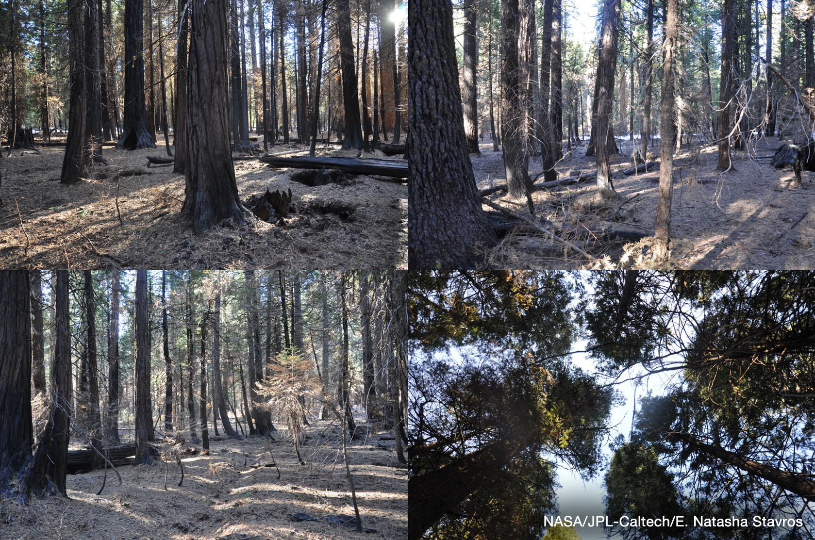 King Fire ground image. Credit: NASA/JPL-Caltech/E. Natasha Stavros