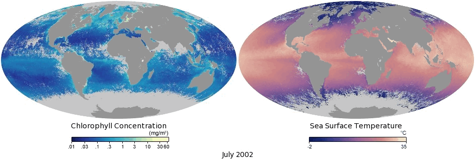 Chlorophyll and sea surface temperature comparison data visualization/heat map from NASA