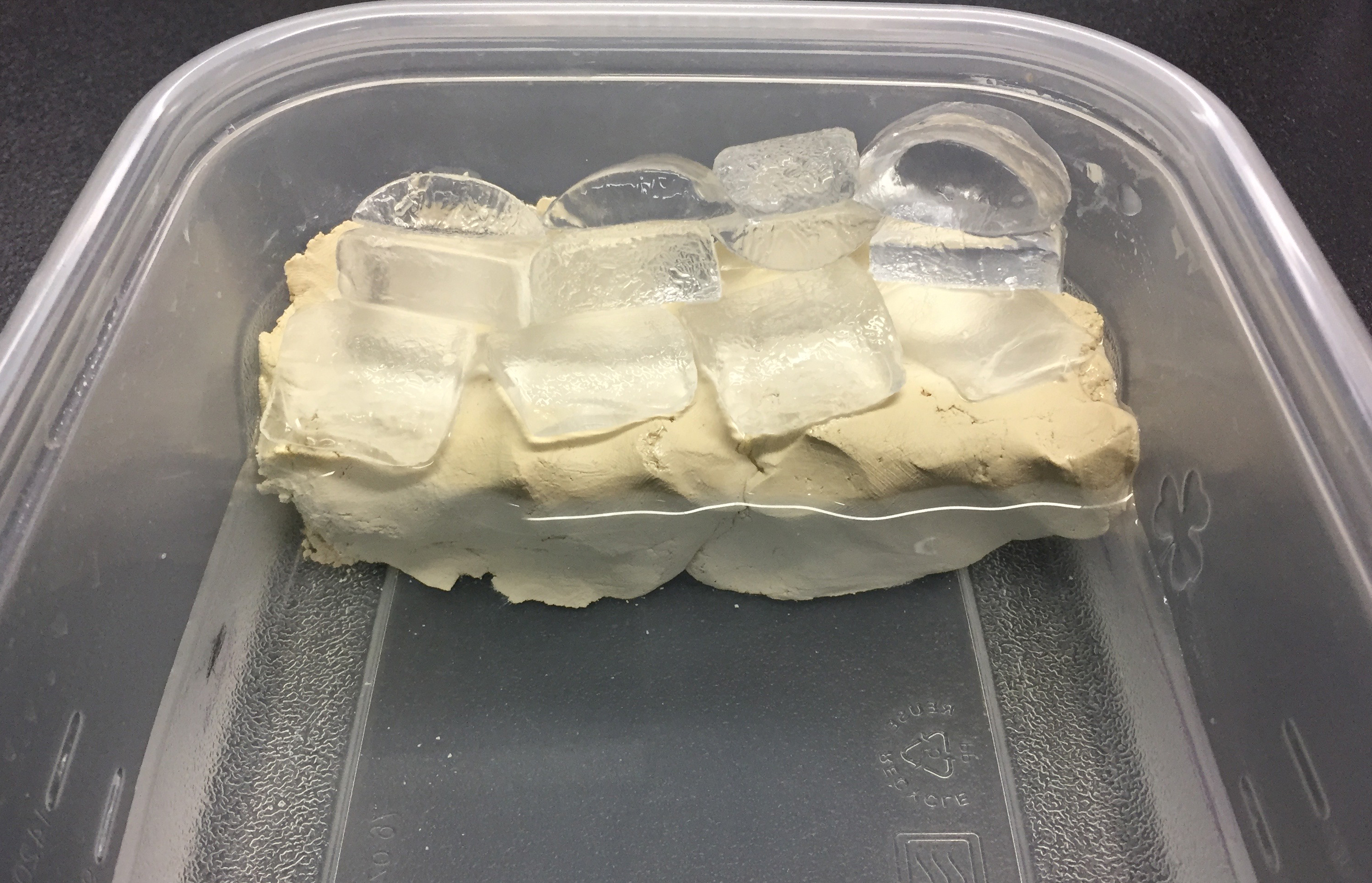 NASA land ice, sea ice activity step 10