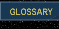 Glossary