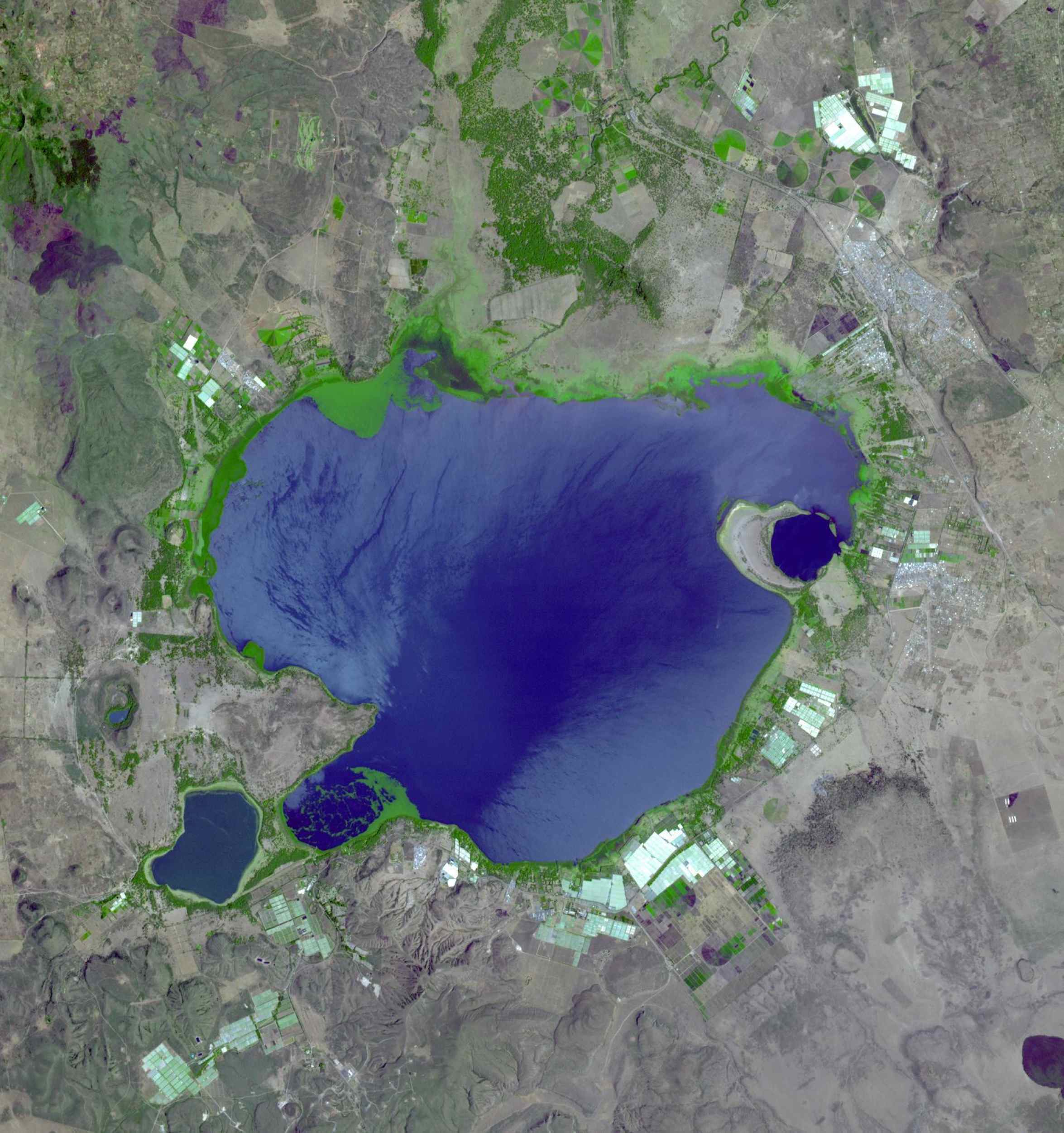 Space Images | Lake Naivasha, Kenya2350 x 2500