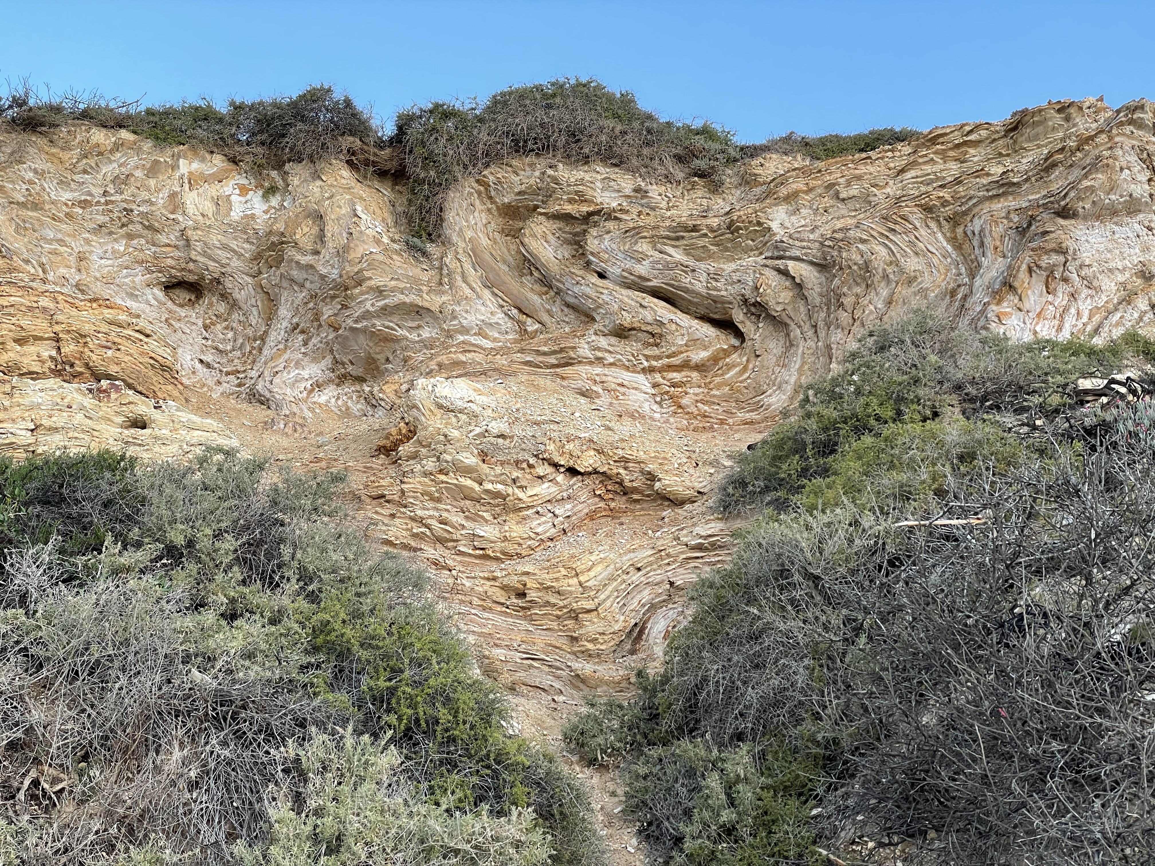 A wave appears virtically on a rock face with some parts of the wave wider than others.