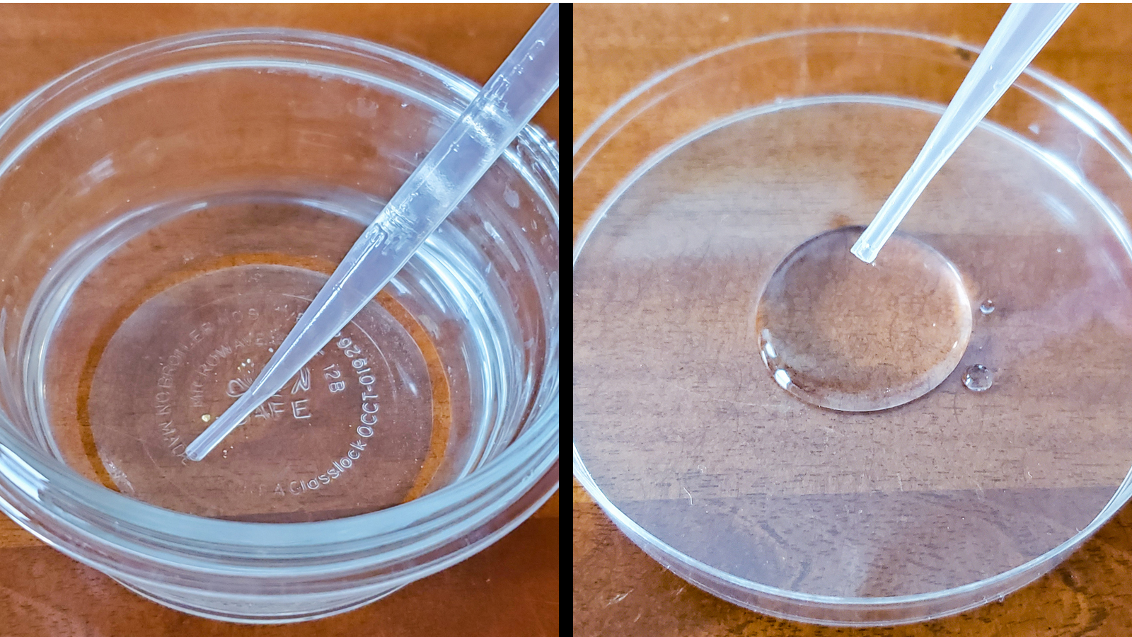 Side-by-side images show a person using a pipette to remove some of the salt solution and putting it in a Petri dish.