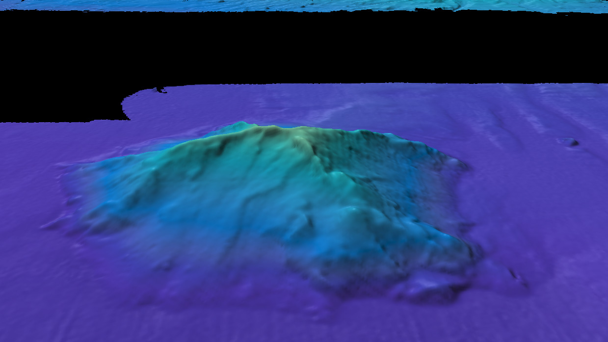 A topographic rendering of a seamount with what appears to be a steady rise.