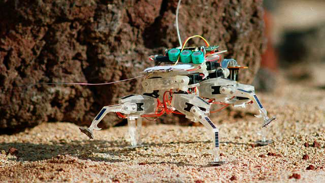 Educator Guide: a Robotic Insect | NASA/JPL