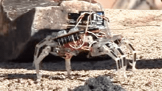 A tiny clear plastic robot with colorful wires jutting out of it walks over sandy terrain