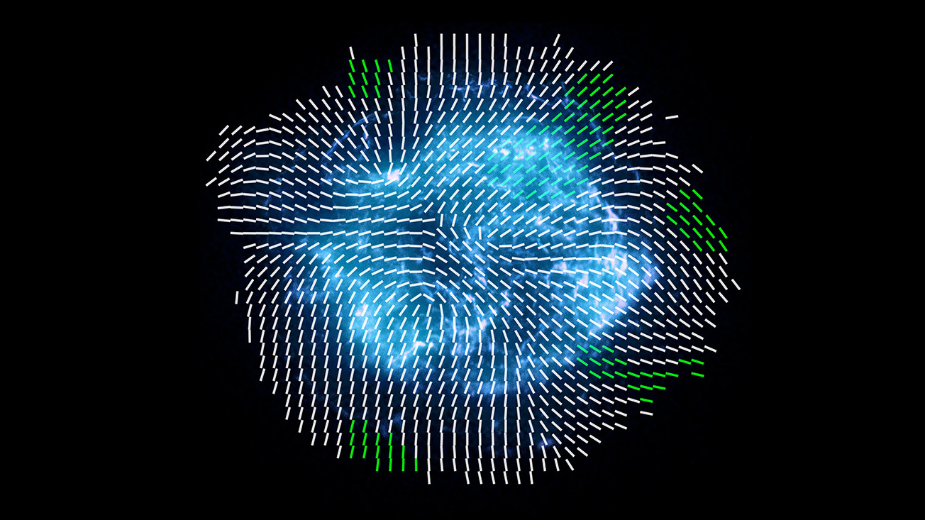 The supernova remnant is shown as a blob of blue with swirls of brighter blues and large splatters of white. Dashed lines on top of the image flow from the center outward. Dividing the supernova and lines into quarter sections of a circle, the top right section has lines that flow directly northeast. The section at the bottom right has lines that flow nearly southeast but curve northwards slightly The section at the bottom left has lines that flow straight up from the bottom edge of the supernova, curve around the center and then flow back down. And the section at the top left has lines that flow from the center directly west, others that curve around the center and flow diagonally northwest and others that flow from the center to the north. Small sections of the lines are highlighted in green at the 1 o'clock, 2 o'clock, 4 o'clock, 7 o'clock and 11 o'clock portions of the supernova.