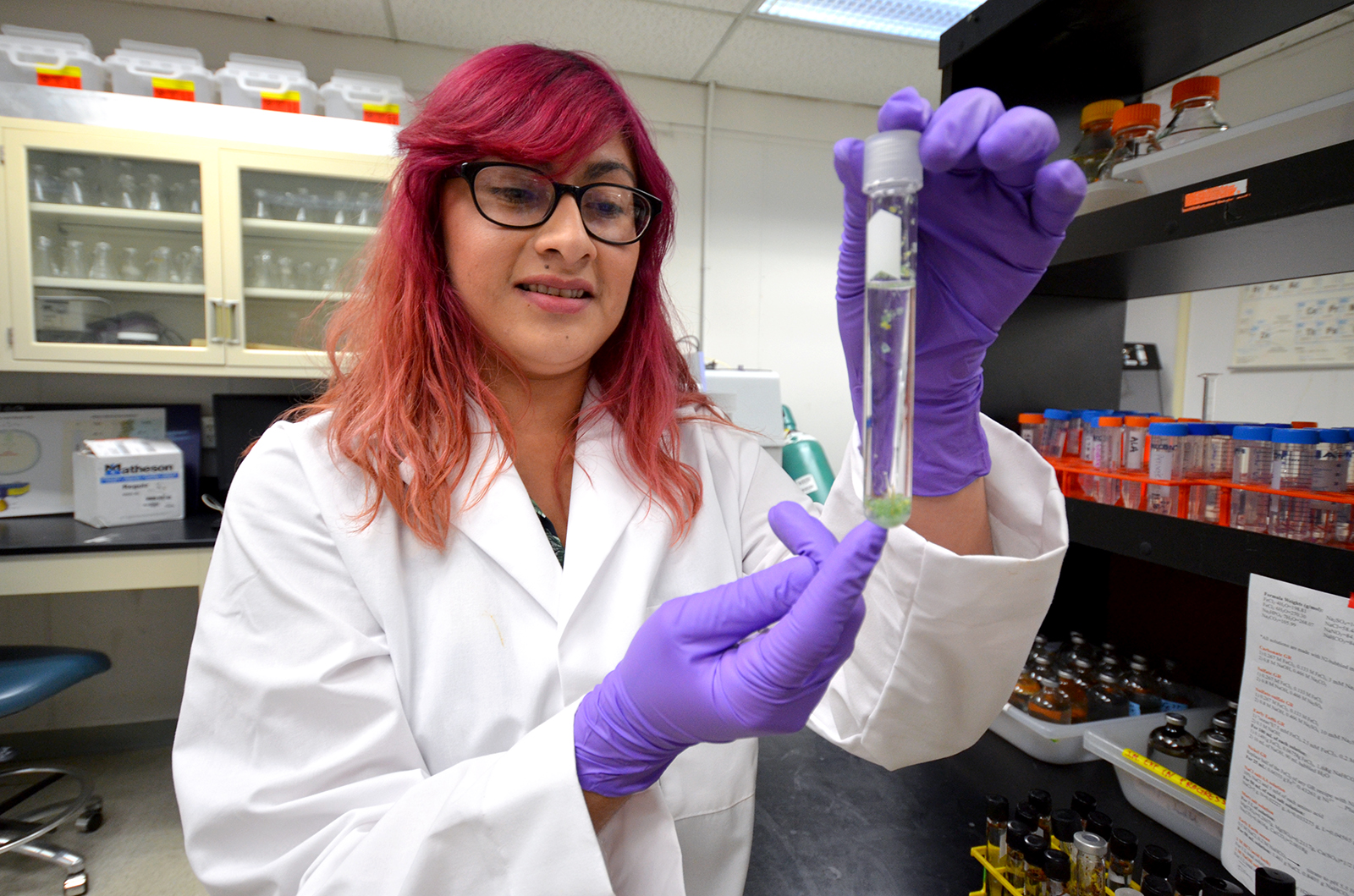 Erika Flores demonstrates how to make a chemical garden