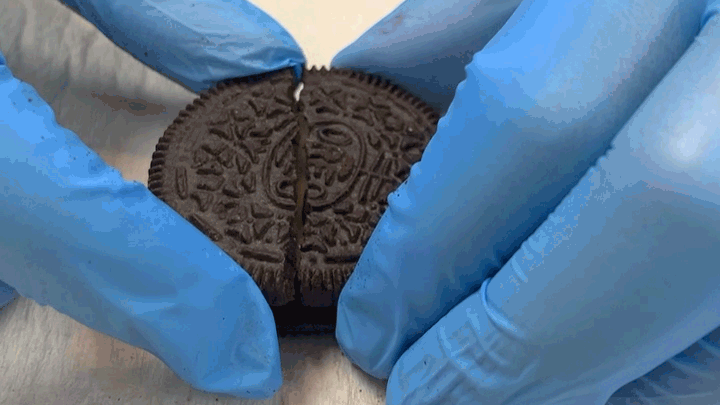 Two hands wearing rubber gloves hold the top portion of an Oreo cookie. The image is animated to show the cookie top is broken in half and represents the sliding of tectonic plates