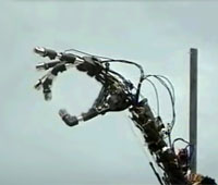 Robotic hand using electroactive polymers