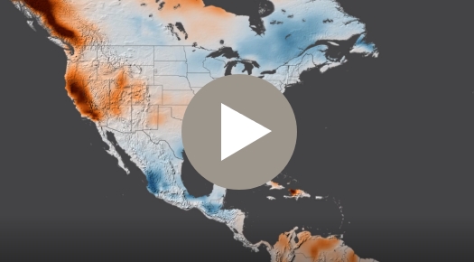 Global Terrestrial Water Storage Anomaly