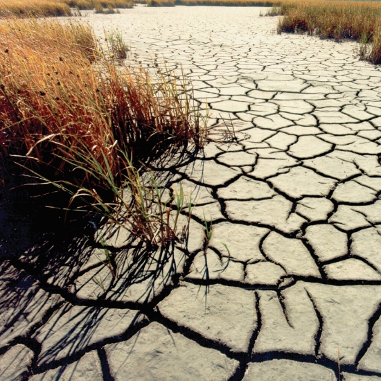 Close-up view of cracked desert landscape.