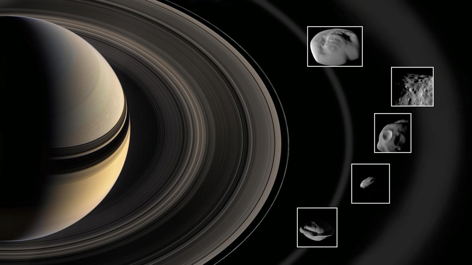 Saturns hyrdemåner der er gemt i ringene